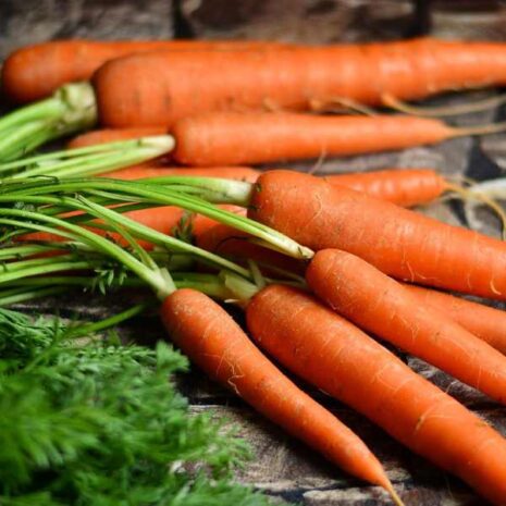 carrot-all-seasons-seeds
