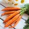 carrot-chantenay-seeds-6