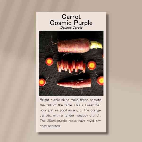 cosmic-purple-front cosmic-purple-front