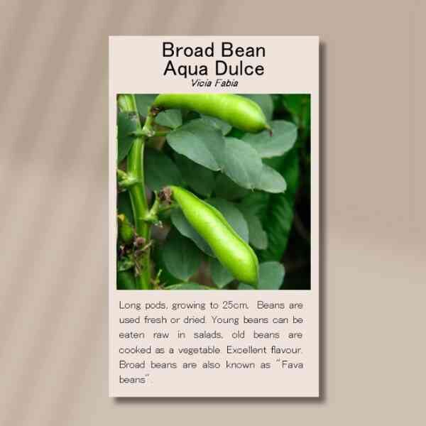 broad-bean-aqua-dulce-front broad-bean-aqua-dulce-front