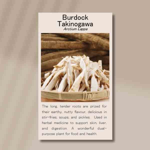 burdock-takinogawa-front burdock-takinogawa-front