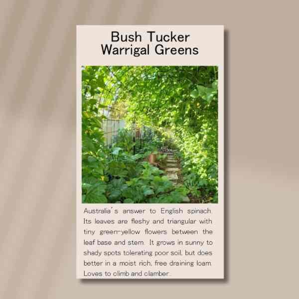 warrigal-greens-front warrigal-greens-front