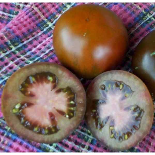 black-russian-tomato-seeds-3 black-russian-tomato-seeds-3