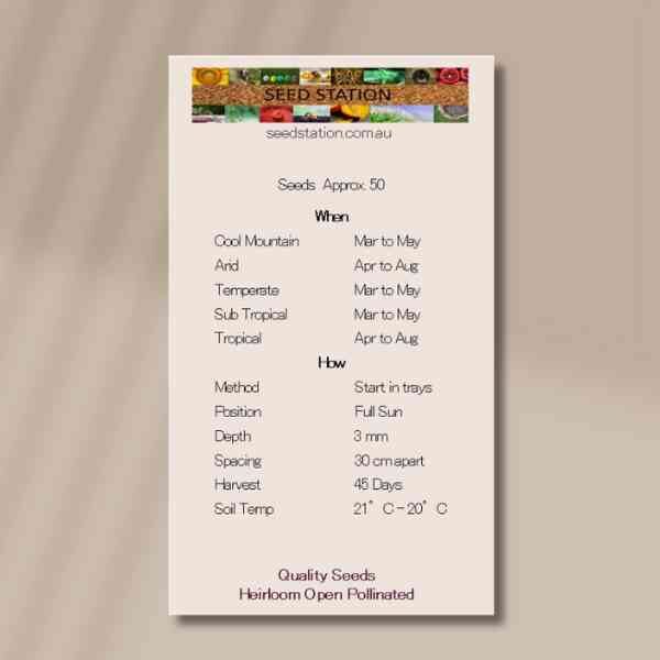 bok-choy-seeds-back-1 bok-choy-seeds-back-1