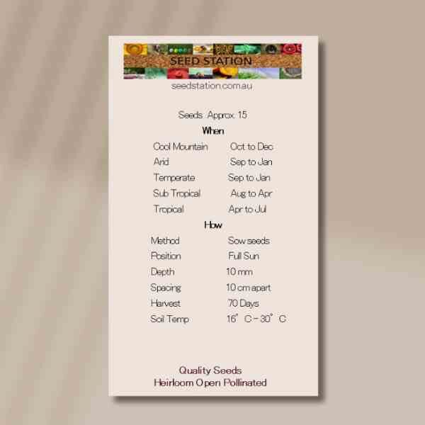 climbing-bean-blue-lake-back-2 climbing-bean-blue-lake-back-2