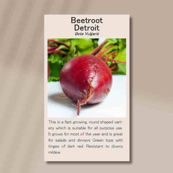 detroit-front detroit-front