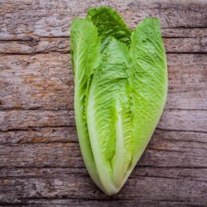 Cos Lettuce