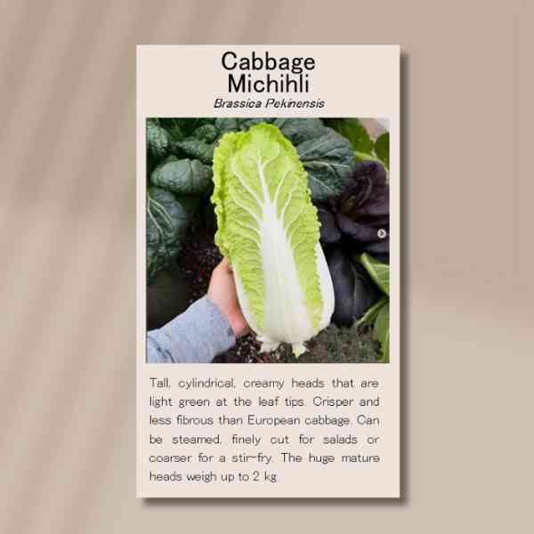 michihli-front-side michihli-front-side