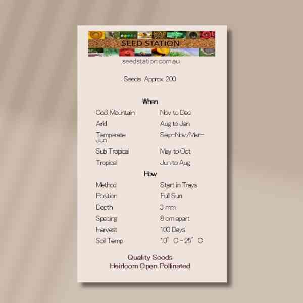 rudbeckia-goldilocks-back rudbeckia-goldilocks-back