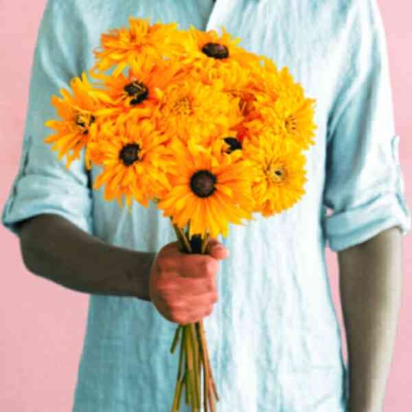 rudbeckia-goldilocks-seeds-3 rudbeckia-goldilocks-seeds-3