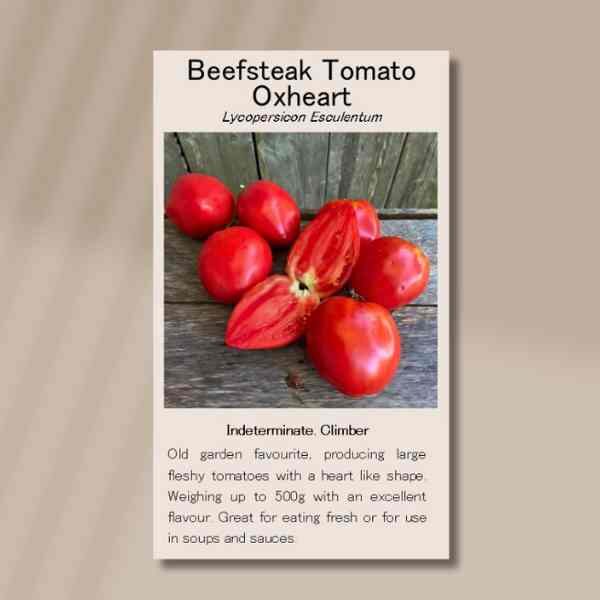 tomato-oxheart-seeds-front tomato-oxheart-seeds-front