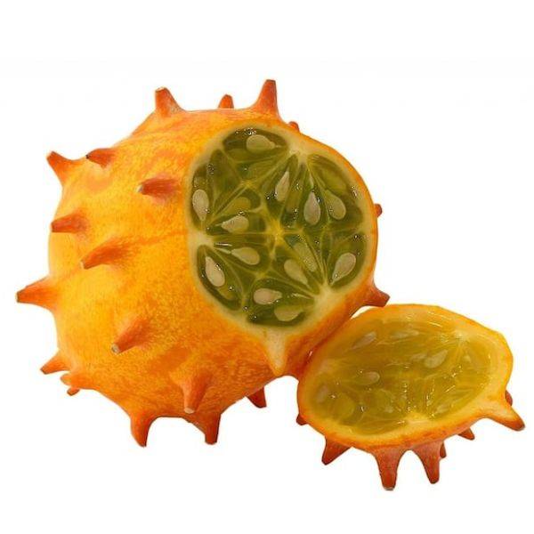 Discover the African Horned Cucumber