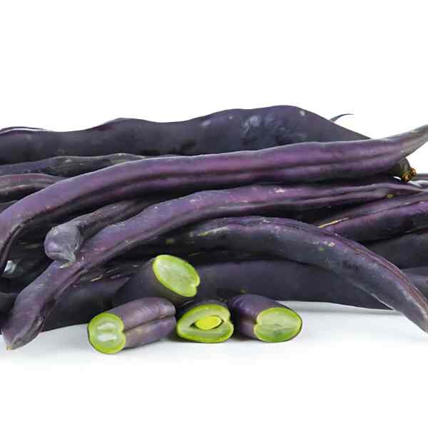 bean-climbing-purple-king-seeds-2 bean-climbing-purple-king-seeds-2