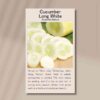 cucumber-long-white-front