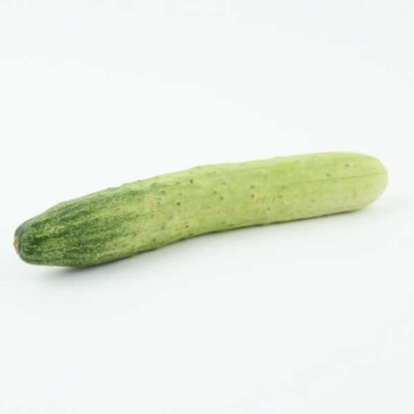 cucumber-long-white-seeds