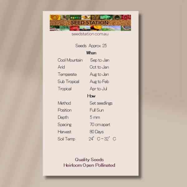 eggplant-caspar-seed-packet-back eggplant-caspar-seed-packet-back