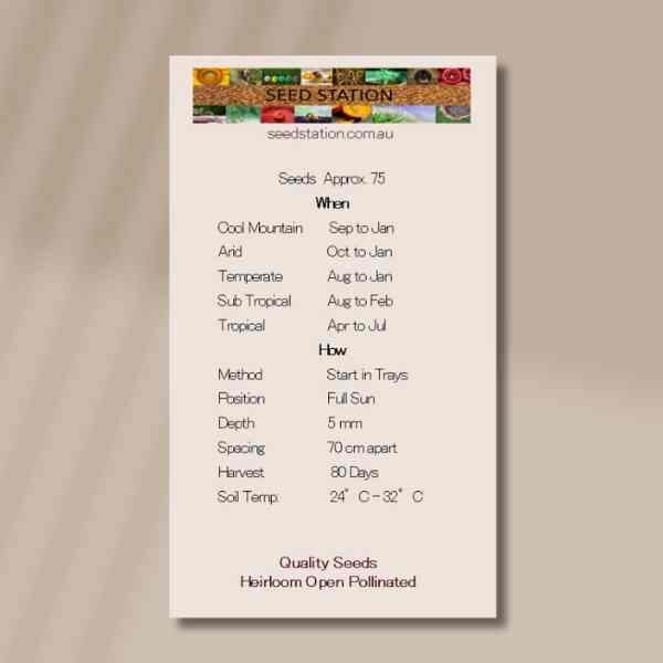 eggplant-seeds-back eggplant-seeds-back