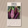 eggplant-seeds-front