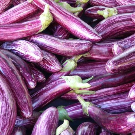 eggplant-tsakoniki-seed
