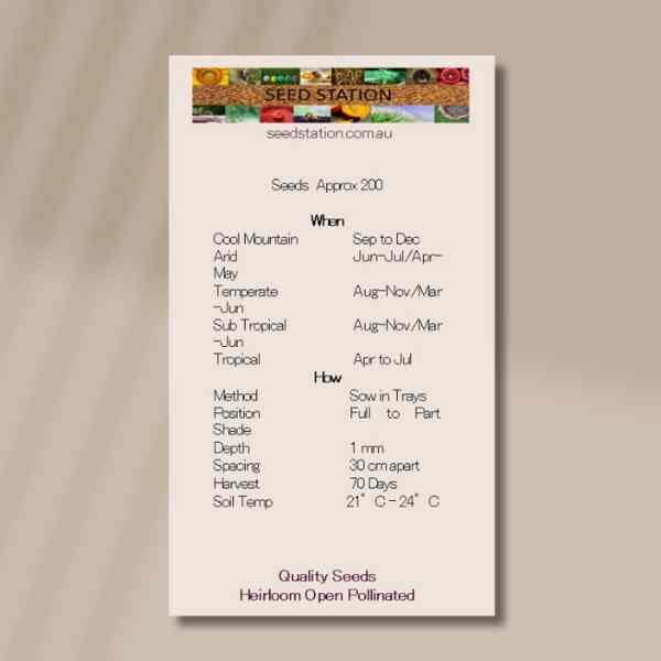 lemon-balm-back lemon-balm-back