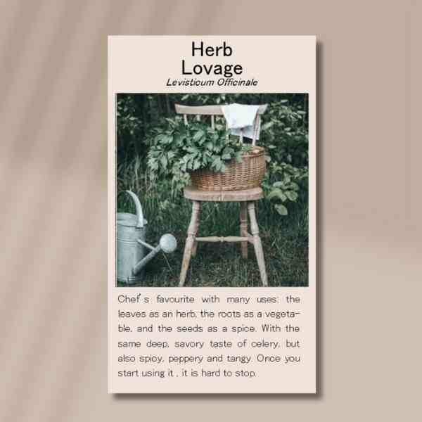 lovage-front lovage-front