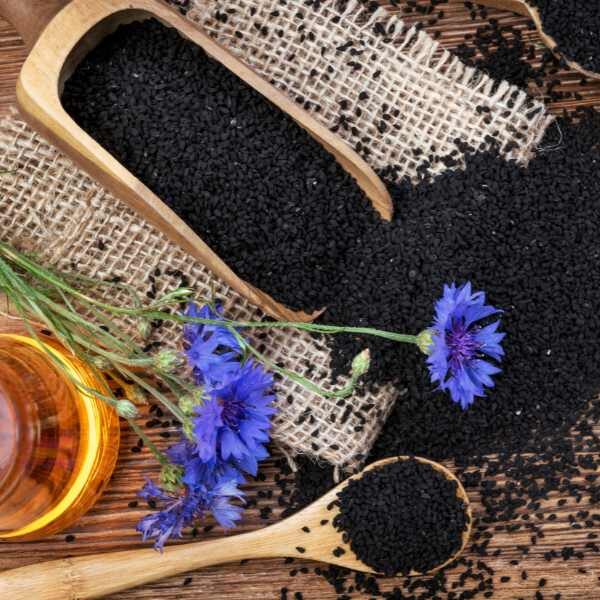 nigella-miss-jekyll-blue-seeds-2 nigella-miss-jekyll-blue-seeds-2