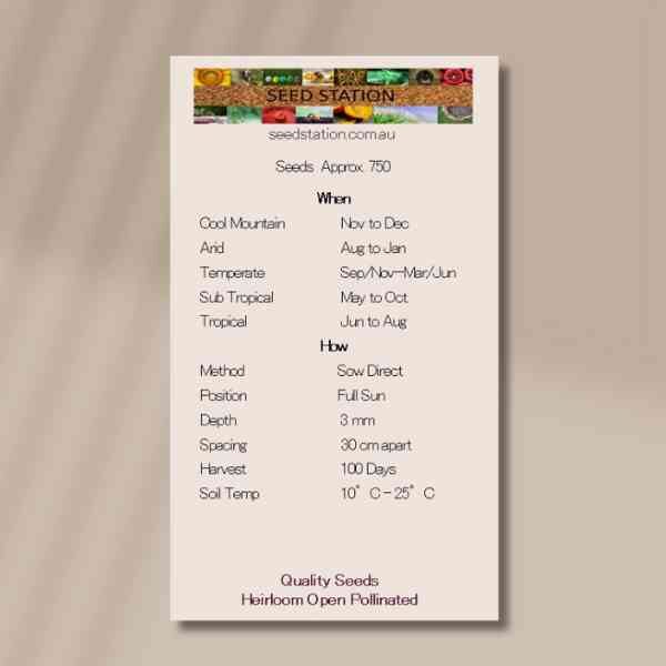 nigella-seeds-back nigella-seeds-back