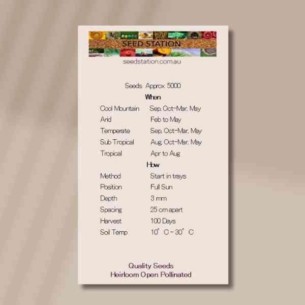 yarrow-back yarrow-back