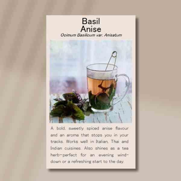 basil-anise-front basil-anise-front