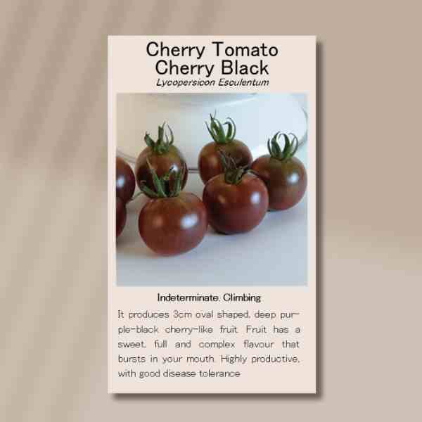 cherry-black-front cherry-black-front