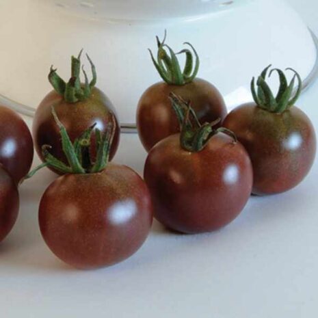 cherry-tomato-black-seeds