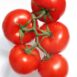 cherry-tomato-cerise-seed