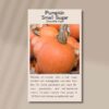 pumpkin-small-sugar-front