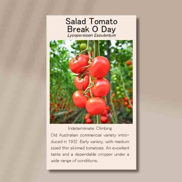 tomato-break-o-day=front tomato-break-o-day=front