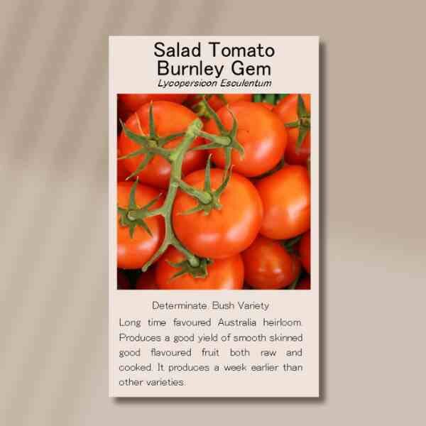 tomato-burnley-gem-front tomato-burnley-gem-front