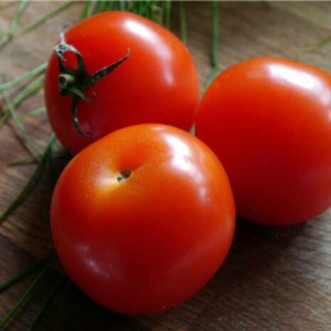 tomato-campbell-33-seeds