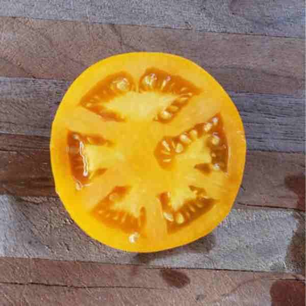 tomato-jubilee-yellow-seeds-2 tomato-jubilee-yellow-seeds-2