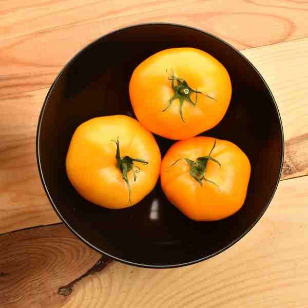 tomato-jubilee-yellow-seeds-3 tomato-jubilee-yellow-seeds-3