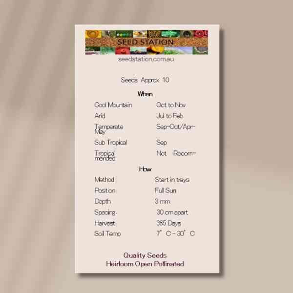 american-flag-back american-flag-back