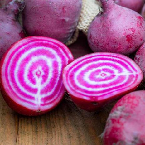 beetroot-chioggia-seed