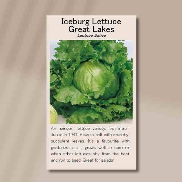 great-lakes-back great-lakes-back