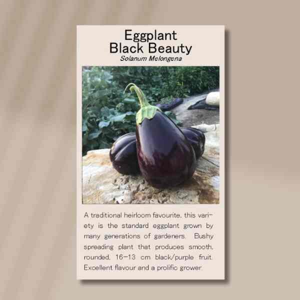 eggplant-black-beauty-seeds-front eggplant-black-beauty-seeds-front