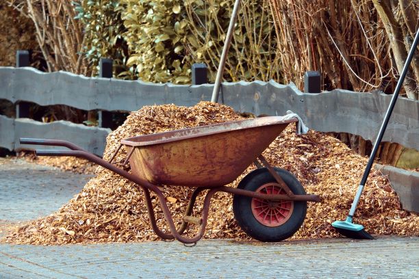 Reasons Why Your Garden Loves Mulch
