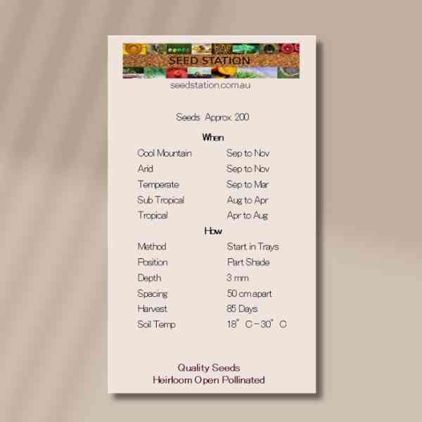 perilla-back perilla-back