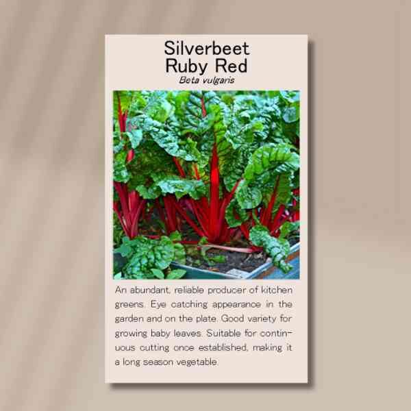 silverbeet-ruby-red-front silverbeet-ruby-red-front