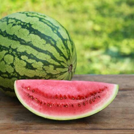 watermelon-bush-jubilee-seed