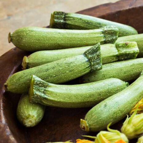 zucchini-lebanese-seed