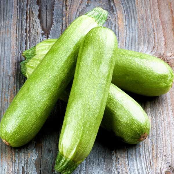 zucchini-lebanese-seeds-3 zucchini-lebanese-seeds-3