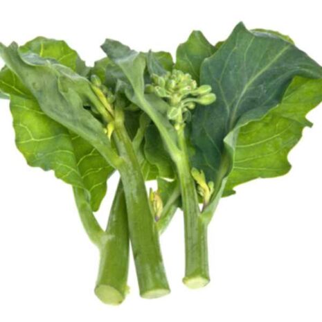 broccoli-kailaan-seed