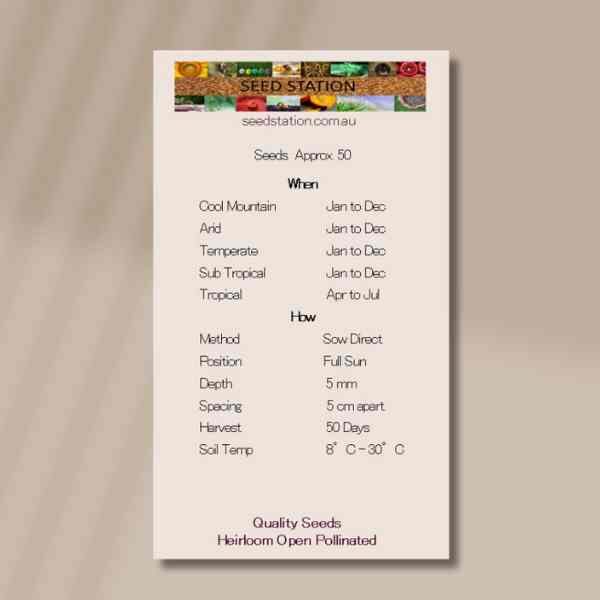 radish-french-breakfast-back radish-french-breakfast-back